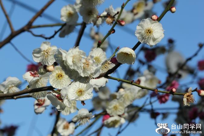 ������С IMG_1858.JPG