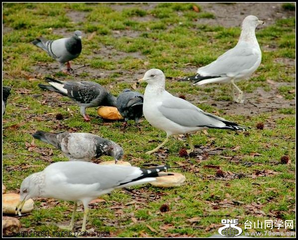 ������С IMG_1571.JPG