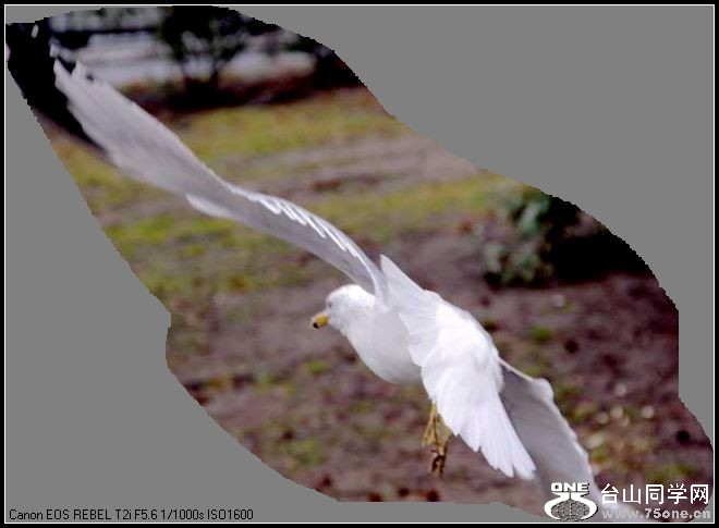 ������С IMG_1586.JPG