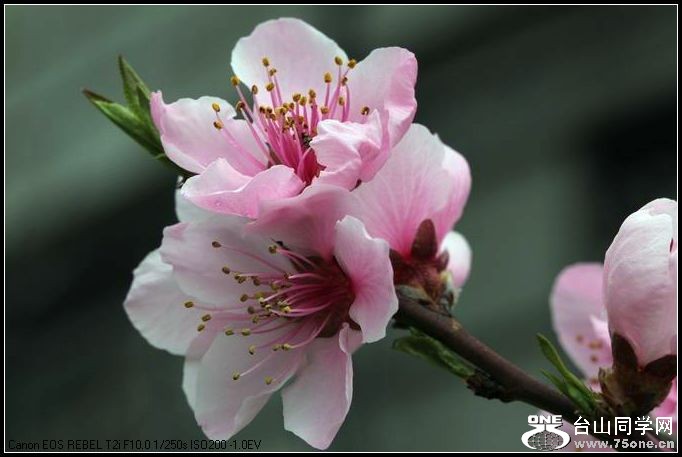 ������С IMG_2630.JPG