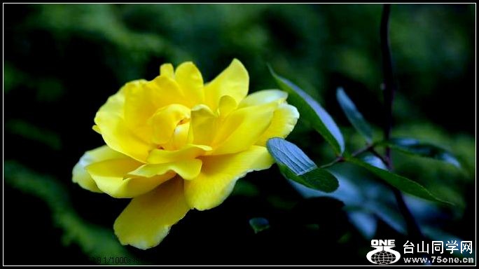 ������С IMG_3895.JPG