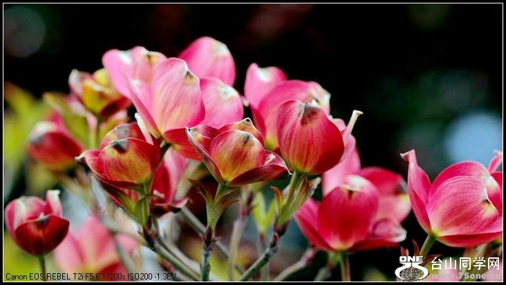 ������С IMG_3176.JPG