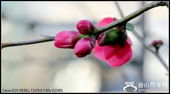 ������С IMG_1861.JPG