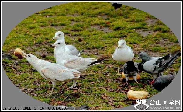 ������С IMG_1578.JPG