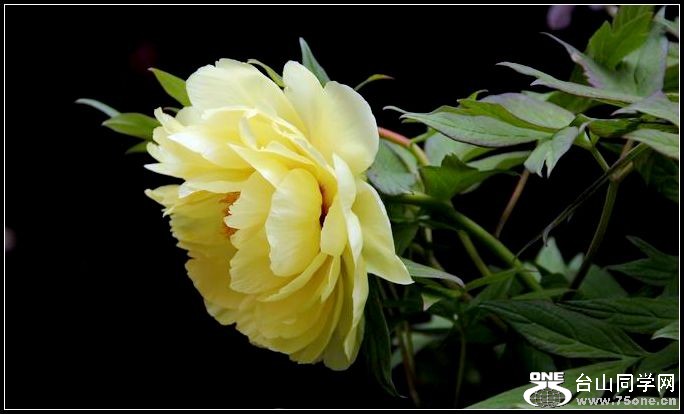 ������С IMG_3819.JPG