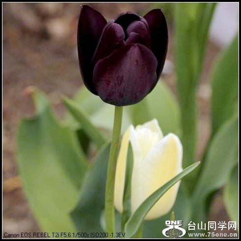 ������С IMG_3184.JPG