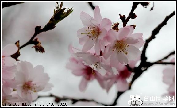 ������С IMG_2608.JPG