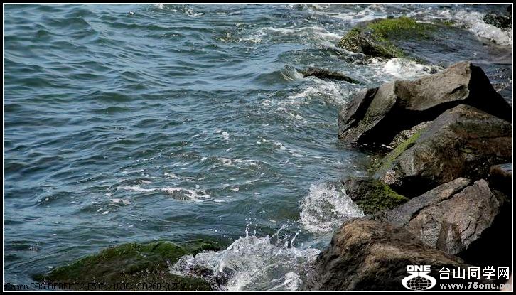 ������С IMG_3940.JPG