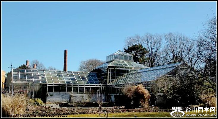 ������С IMG_1649.JPG