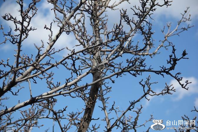 ������С IMG_1507.JPG