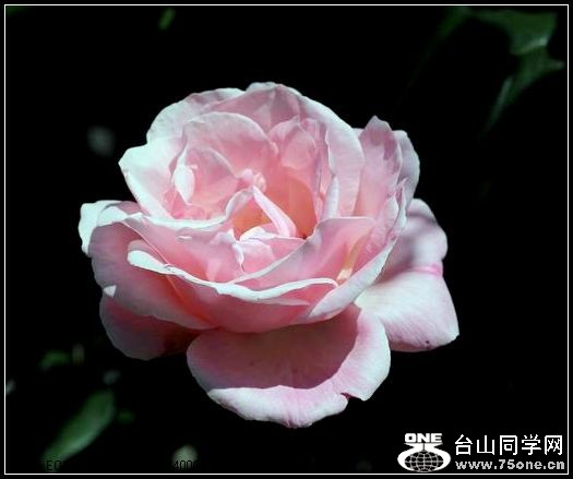 ������С IMG_4042.JPG