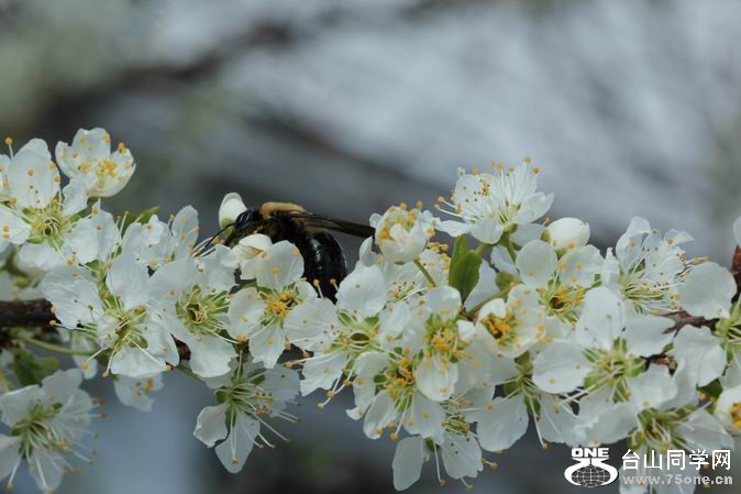 ������С IMG_2581.JPG