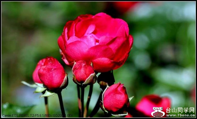 ������С IMG_4050.JPG