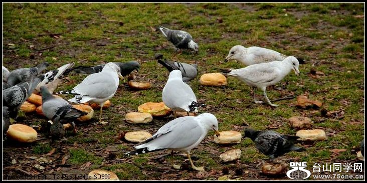 ������С IMG_1615.JPG