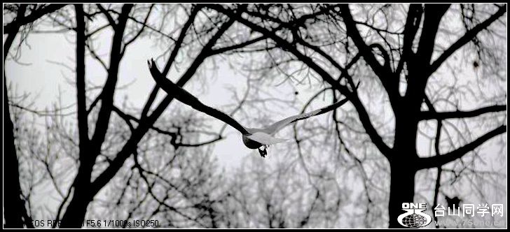 ������С IMG_1593.JPG