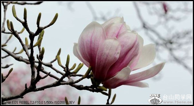 ������С IMG_2636.JPG