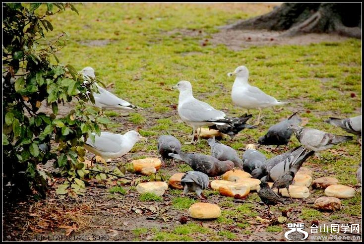 ������С IMG_1567.JPG