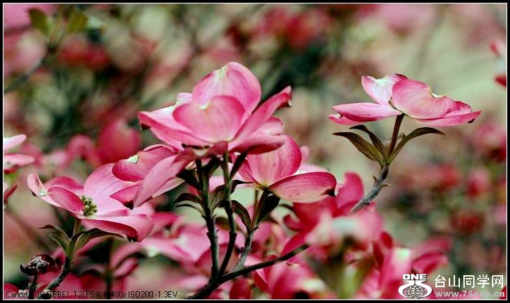 ������С IMG_3174.JPG