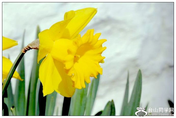 ������С IMG_2181.JPG