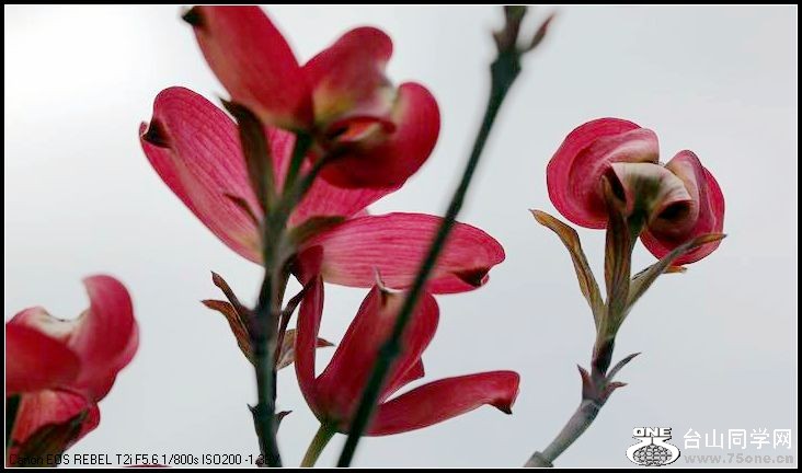 ������С IMG_3170.JPG