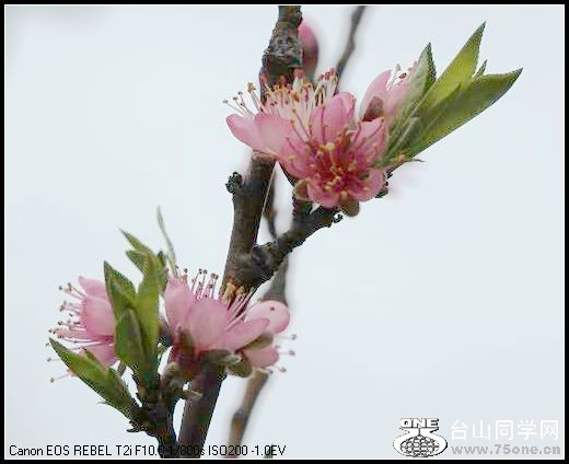 ������С IMG_2632.JPG