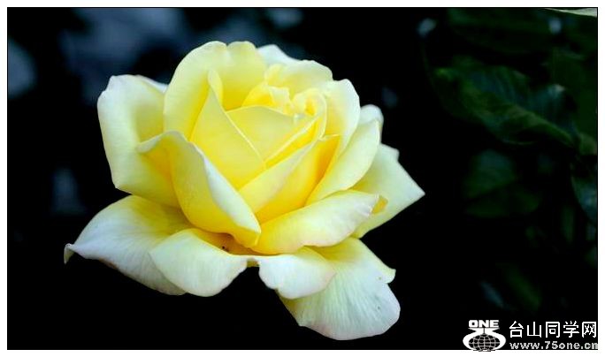 ������С IMG_3879.JPG