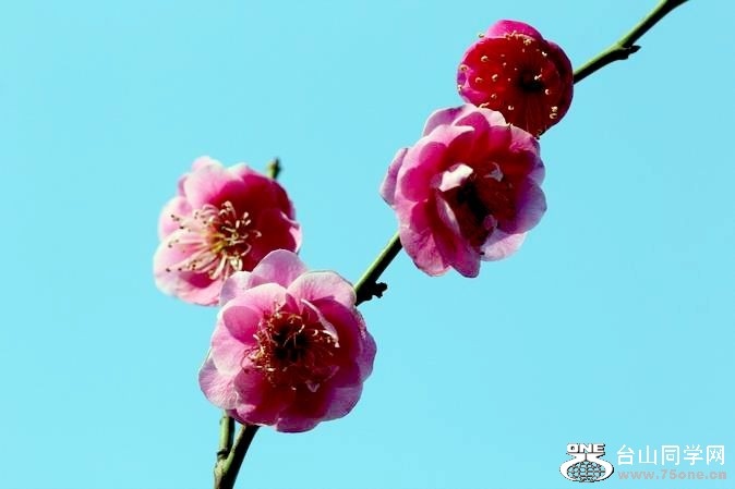 ������С IMG_1854.JPG