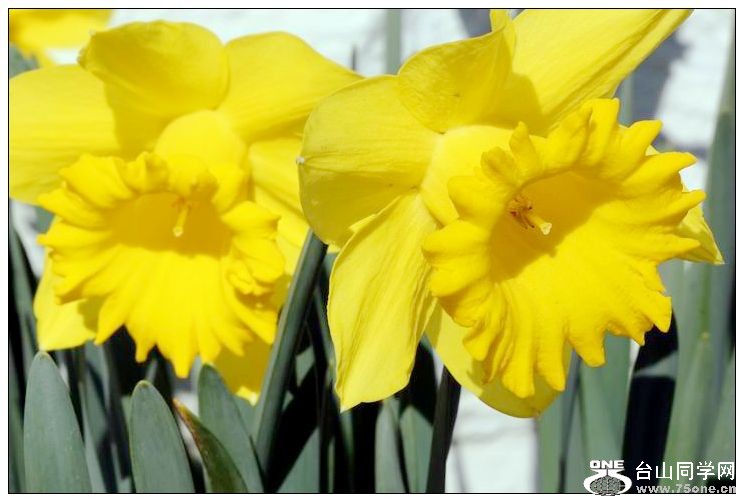 ������С IMG_2182.JPG