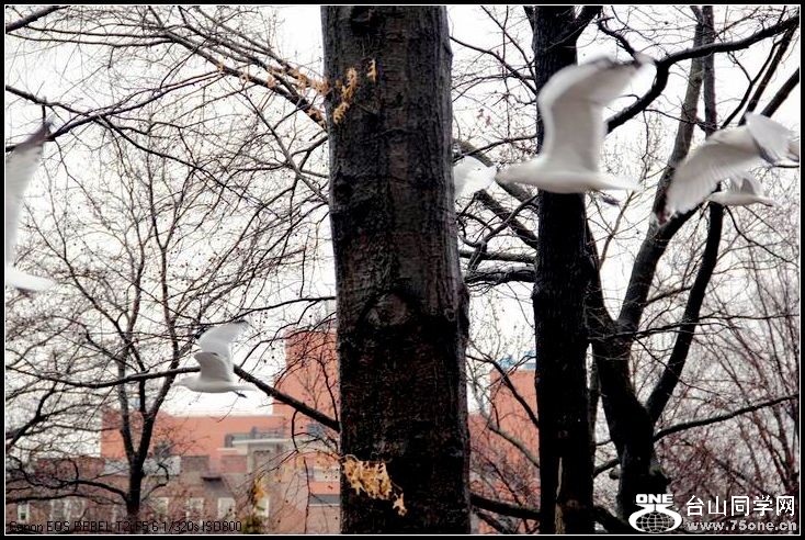 ������С IMG_1564.JPG