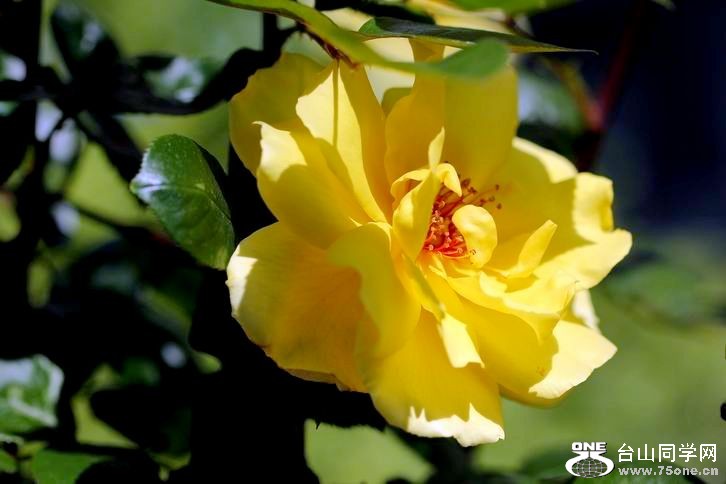 ������С IMG_3897.JPG