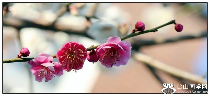 ������С IMG_1889.JPG