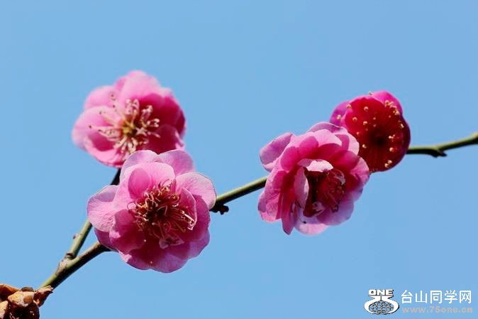 ������С IMG_1855.JPG