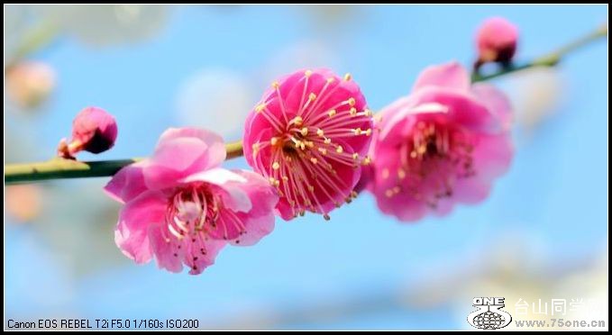 ������С IMG_1891.JPG