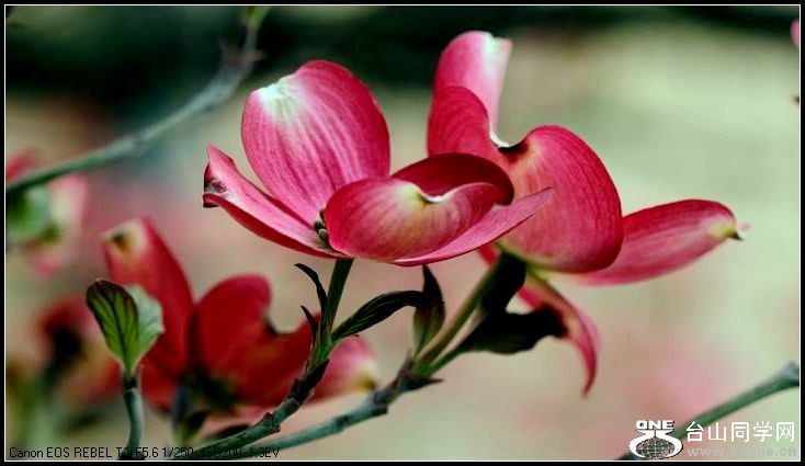 ������С IMG_3171.JPG