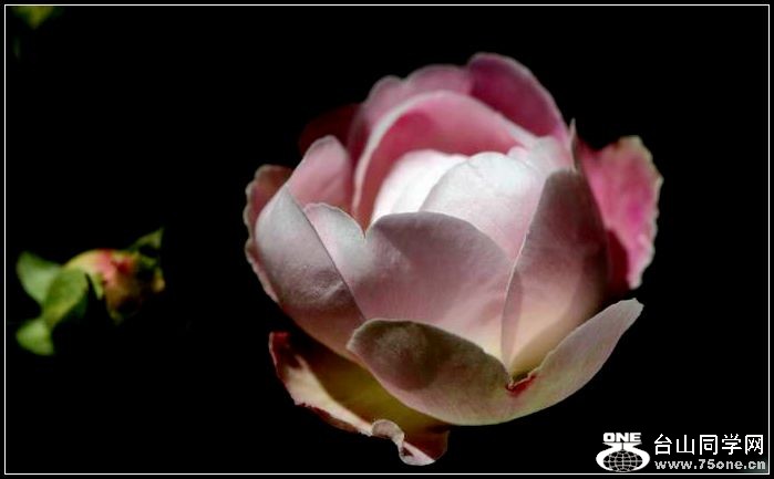 ������С IMG_4051.JPG