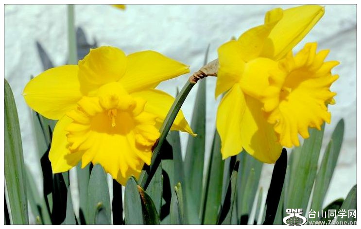 ������С IMG_2180.JPG