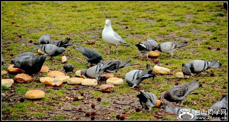 ������С IMG_1566.JPG