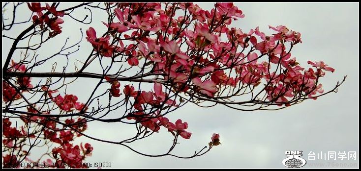 ������С IMG_3198.JPG