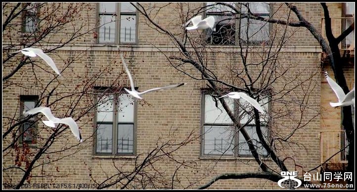 ������С IMG_1575.JPG