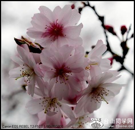 ������С IMG_2609.JPG