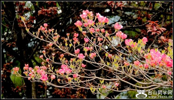 ������С IMG_3200.JPG