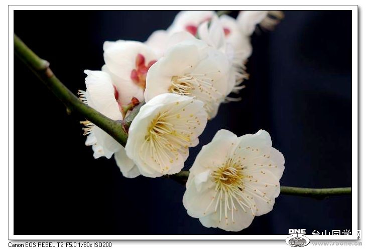 ������С IMG_1870.JPG