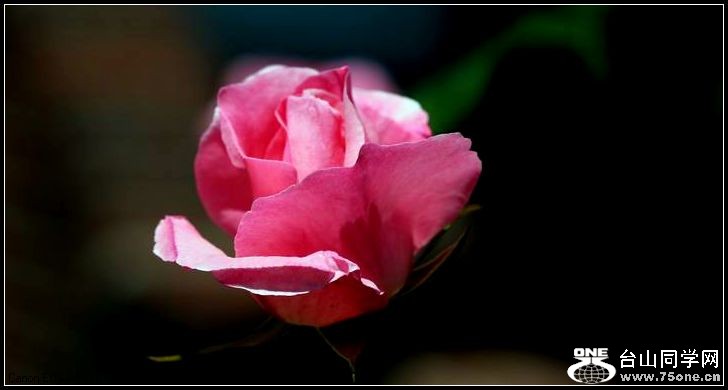 ������С IMG_4043.JPG