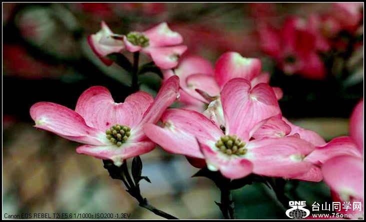 ������С IMG_3169.JPG