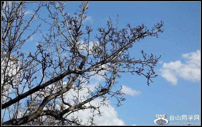 ������С IMG_1504.JPG