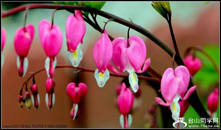 ������С IMG_3202.JPG