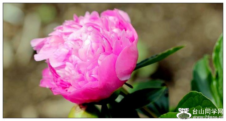 ������С IMG_3892.JPG