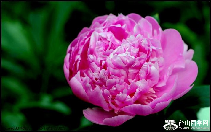 ������С IMG_3987.JPG