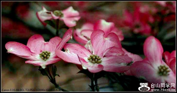 ������С IMG_3168.JPG