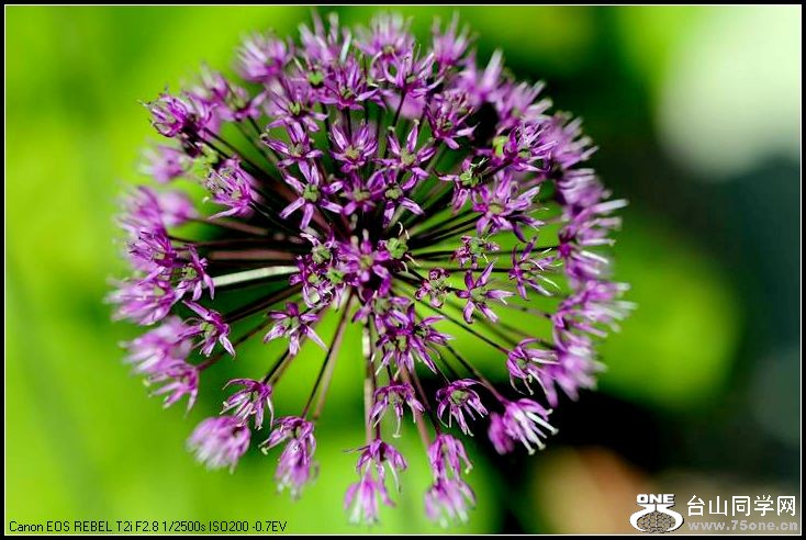 ������С IMG_3901.JPG